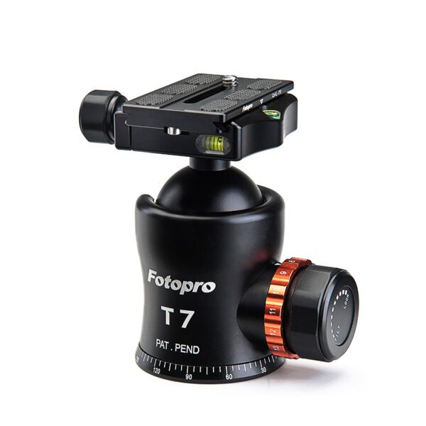 T7