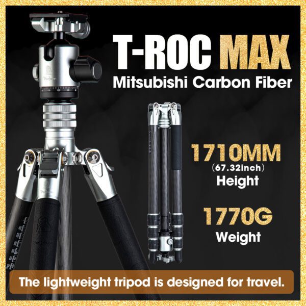 T-Roc Max - 图片 2