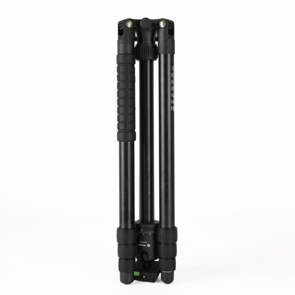 X-go Chameleon - 图片 5