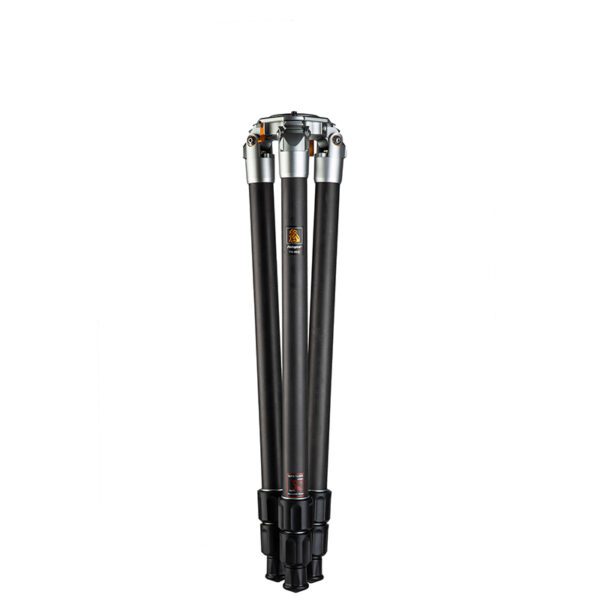 TS-83C