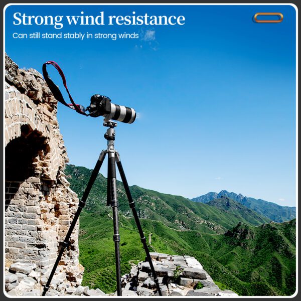 T-Roc One - 图片 10