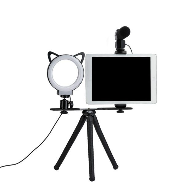 L1