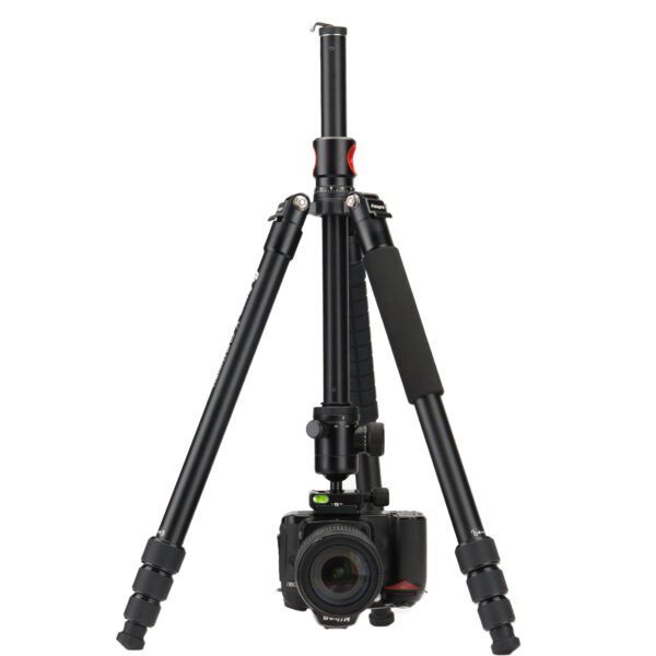X-go HR Chameleon - 图片 4