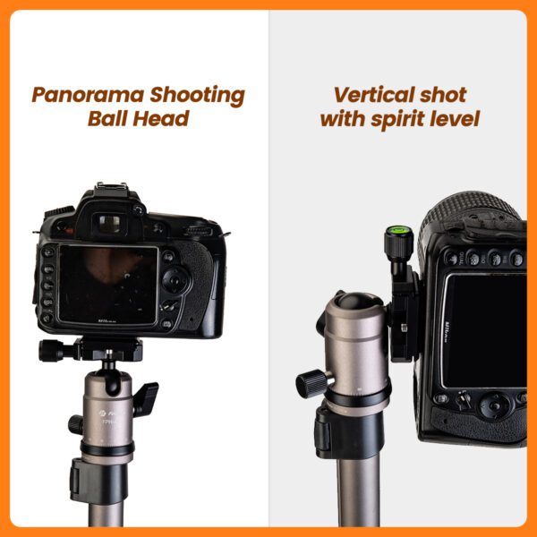 D5+42Q Basic Tripod - 图片 9