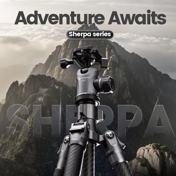 Sherpa - 图片 24