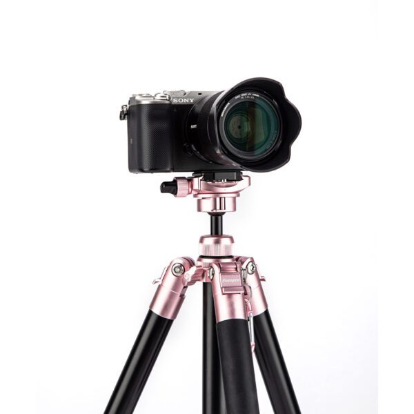 Free-1 Compact Tripod - 图片 25