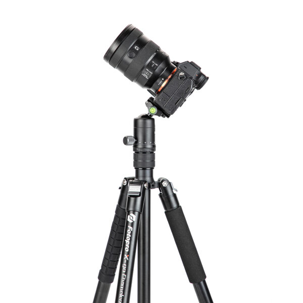 X-go Chameleon E 2 - 图片 4