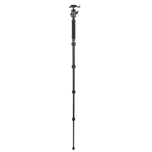 X-go Gecko E 2 - 图片 6