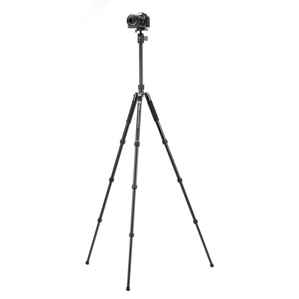 X-go Chameleon E 2 - 图片 2