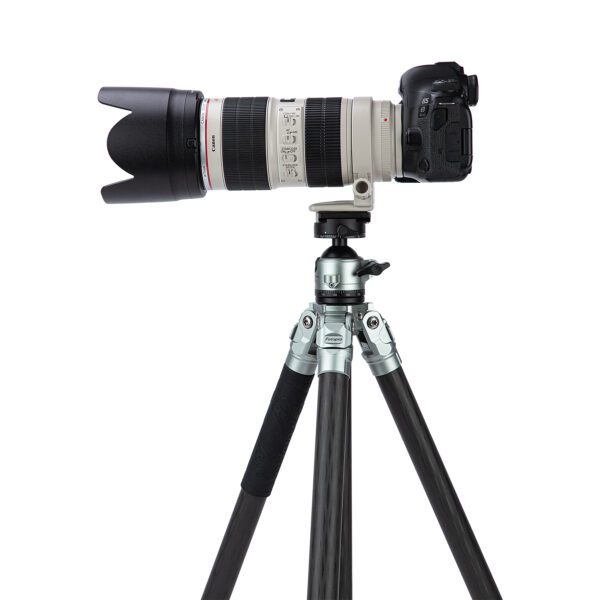 MP-6 - 图片 9