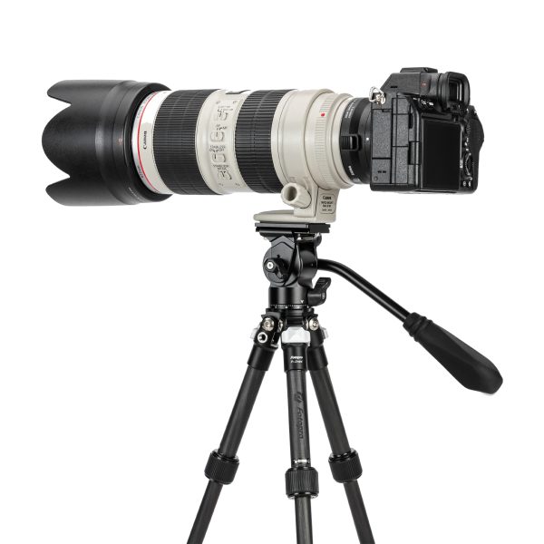 Fotopro P-2mini + MH-2A Mini Carbon Video Tripod - 图片 5