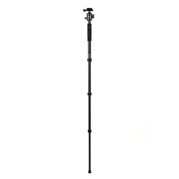 X-go HR Chameleon E 2 - 图片 2