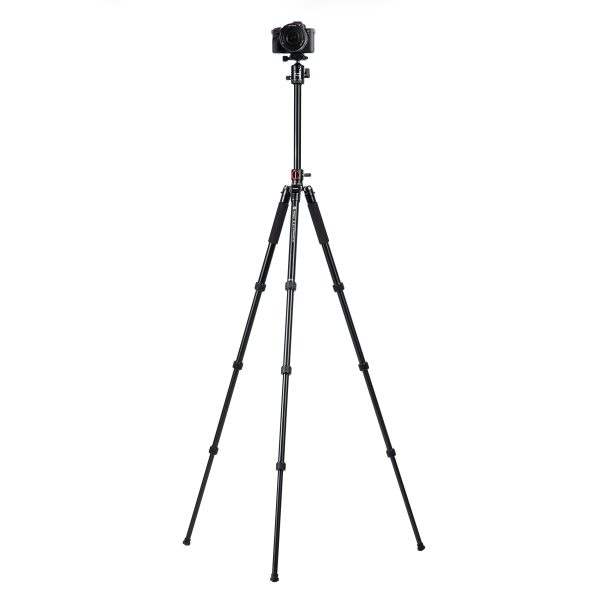 X-go HR Chameleon E 2 - 图片 3