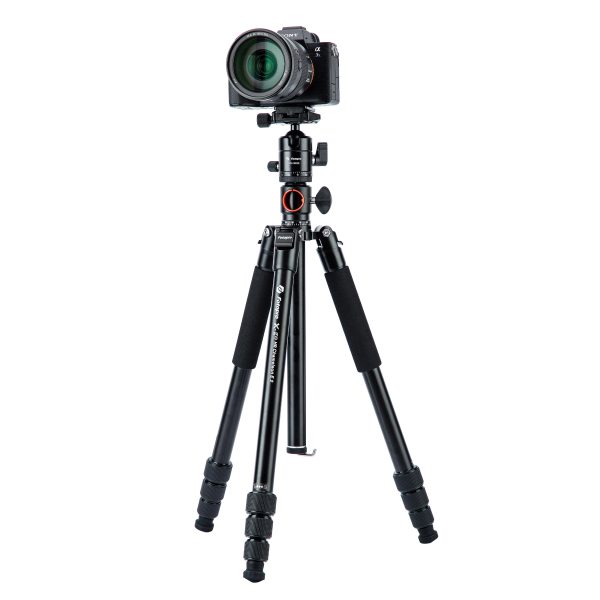 X-go HR Chameleon E 2 - 图片 5